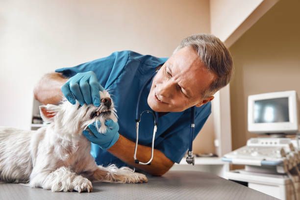 Best Weekend Emergency Dentist in Thermal, CA